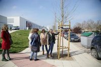 Ayuntamiento Toledo está trabajando con hosteleros y Policía Local para atajar los ruidos del ocio nocturno en el Casco
