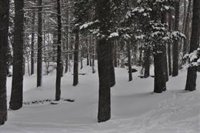 Aragón analiza si hay equilibrio con Cataluña en la propuesta para los JJOO 2030 enviada por el COE