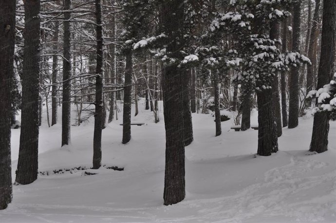 Archivo - Nieve en el Pirineo oscense
