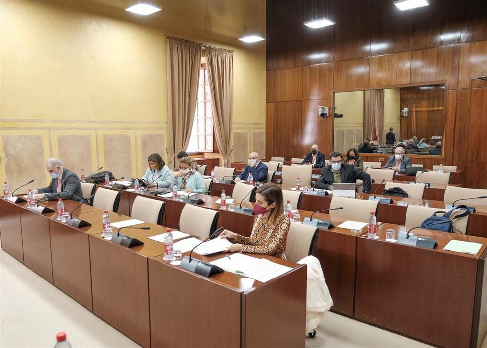 Diputados en la comisión de Fomento, Infraestructuras y Ordenación del Territorio del Parlamento andaluz.