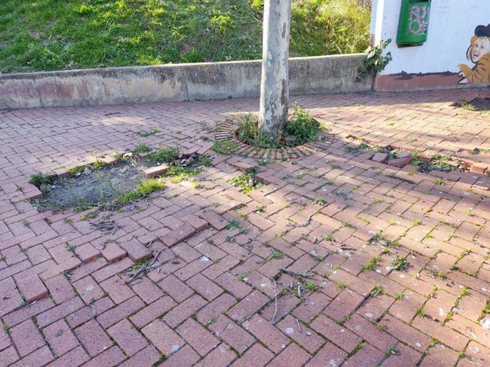 Cs acusa a alcalde de "poner en riesgo zonas verdes" de Logroño "por incapacidad de gestionar su mantenimiento"