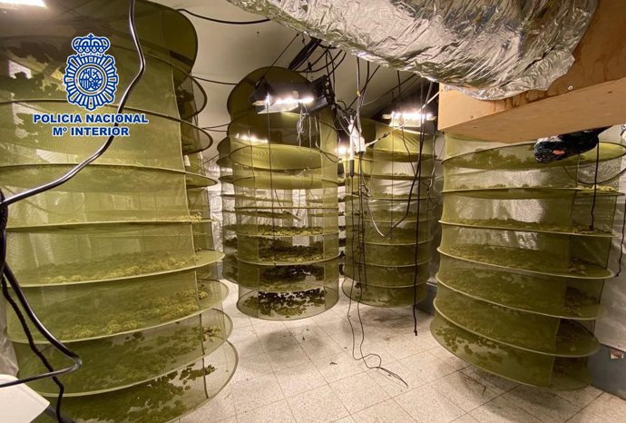 La Policía Nacional detiene al presunto responsable de una plantación "indoor" de marihuana en un chalet de lujo