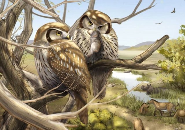 Reconstrucción de la lechuza extinta Miosurnia diurna posada en un árbol con su última comida de un pequeño roedor, con vistas a los caballos extintos de tres dedos y rinocerontes con la meseta tibetana en ascenso en el horizonte