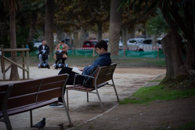 Archivo - Un joven lee un libro en el Parque de la Ciutadela, a 12 de noviembre de 2021, en Barcelona, Cataluña (España). 