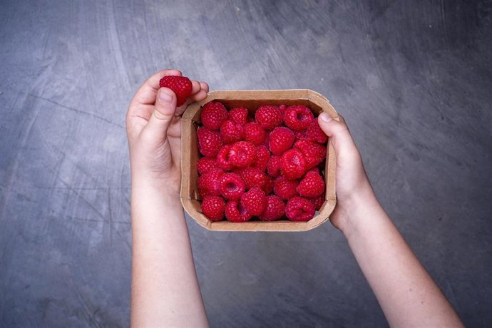 Archivo - Producción de Hinojosa