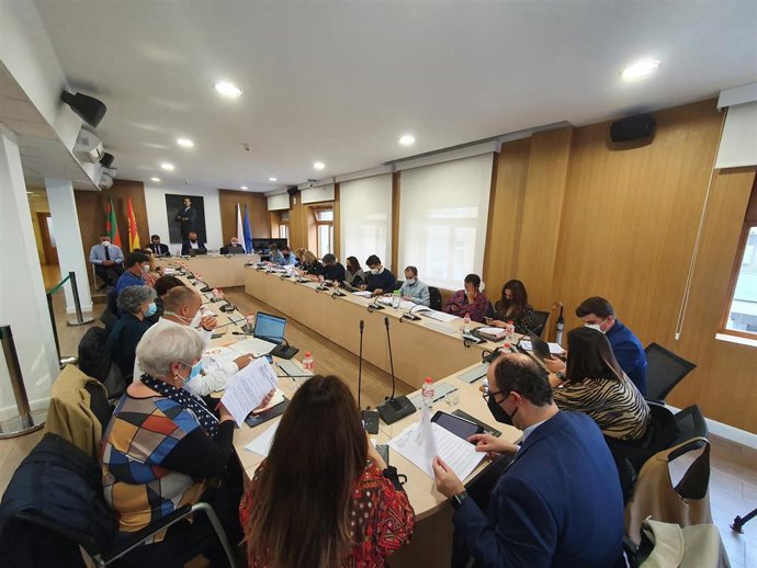 Pleno de marzo del Ayuntamiento de Torrelavega