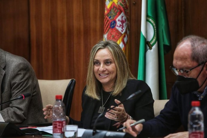 Marifrán Carazo, en la Comisión de Fomento, Infraestructuras y Ordenación del Territorio