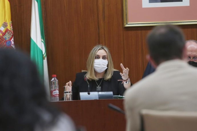 Marifrán Carazo, en la Comisión de Fomento este miércoles