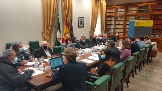 Junta plenaria de la Fundación Cueva de Nerja (Málaga)