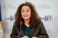 Unidas Podemos espera que la Junta "entre en razón" y "corrija" la Ley del Suelo en su negociación con el Gobierno