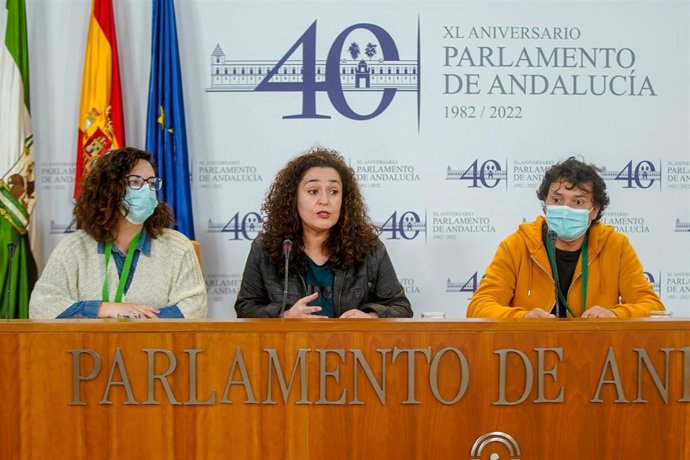 La portavoz del grupo parlamentario Unidas Podemos por Andalucía, Inmaculada Nieto, en rueda de prensa en el Parlamento de Andalucía, tras mantener una reunión con la Fundación Pública Andaluza para la Integración Social de Personas con Enfermedad Menta