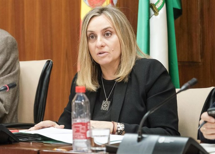 La consejera de Fomento, Infraestructuras y Ordenación del Territorio, Marifrán Carazo, comparece en comisión parlamentaria.