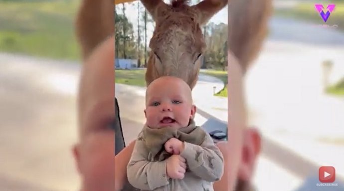 Los hermanos son los mejores amigos de los animales