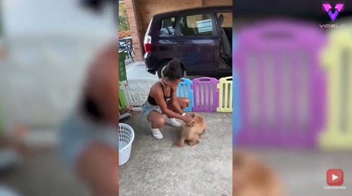 Se reencuentra con su perro tres meses después (EMOTIVO)