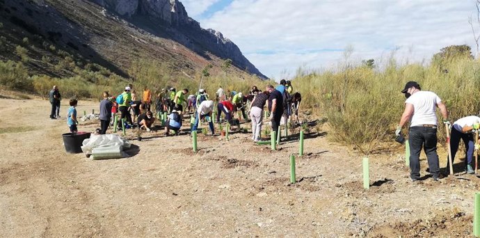 La Diputación de Málaga ha plantado 1.650 árboles en Villanueva de Algaidas, Riogordo y Alfarnatejo en tres plantaciones participativas
