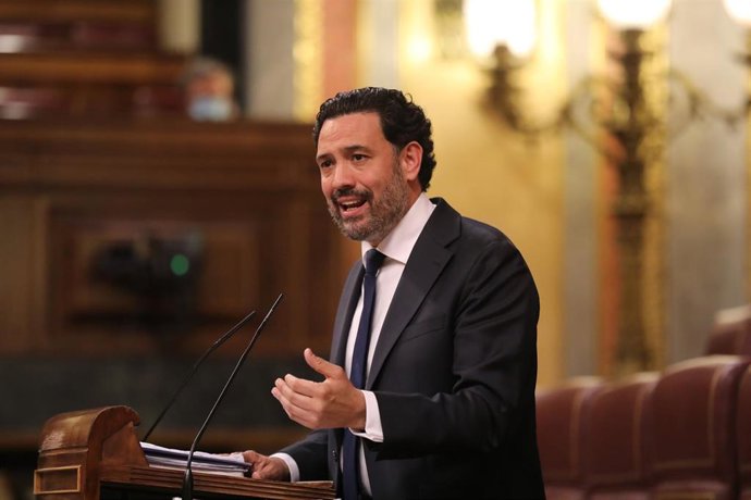 El diputado del Partido Popular en el Congreso de los Diputados, Guillermo Mariscal, interviene en una sesión plenaria en el Congreso