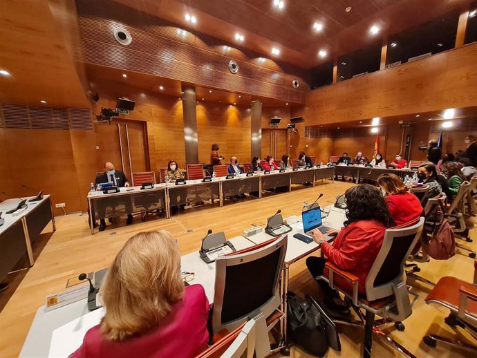 La consellera de Presidencia, Función Pública e Igualdad, en la Conferencia Sectorial en el Senado.