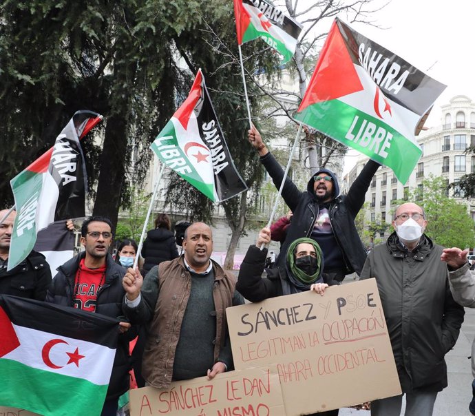 Manifestantes sostienen carteles y banderas del Sahara Occidental 