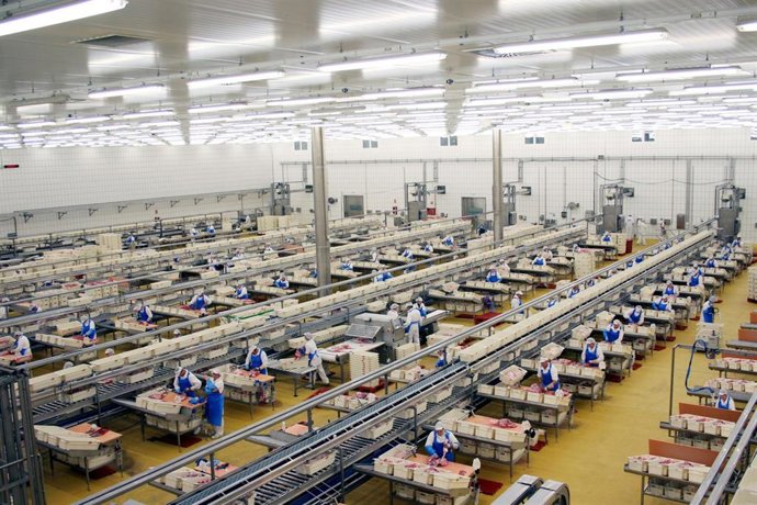 El Pozo Alimentación impulsa la formación de  operario cárnico para 200 desempleados