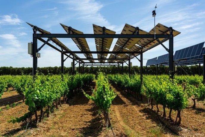 Winersolar