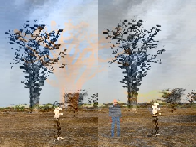 Luis Riu, CEO de RIU Hotels & Resorts, junto a un baobab, árbol nacional de Senegal.