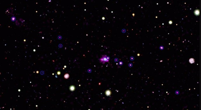 Catorce agujeros negros supermasivos en crecimiento en la galaxia Telaraña