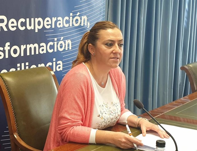 La delegada del Gobierno en Castilla y León, Virginia Barcones.