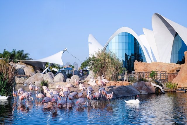 Oceanográfico de Valencia