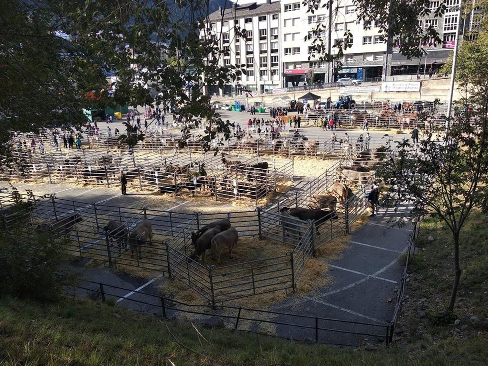 Animales en la Fira Concurs de Bestiar en Andorra la Vella.