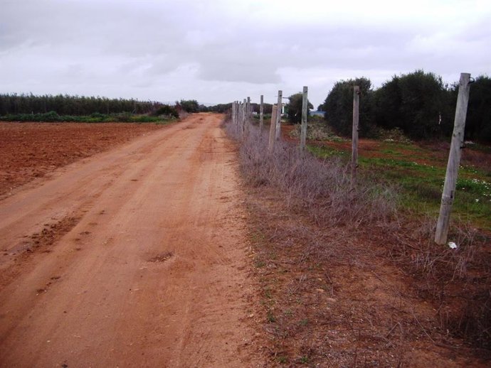 Archivo - Vía pecuaria Vereda del Término