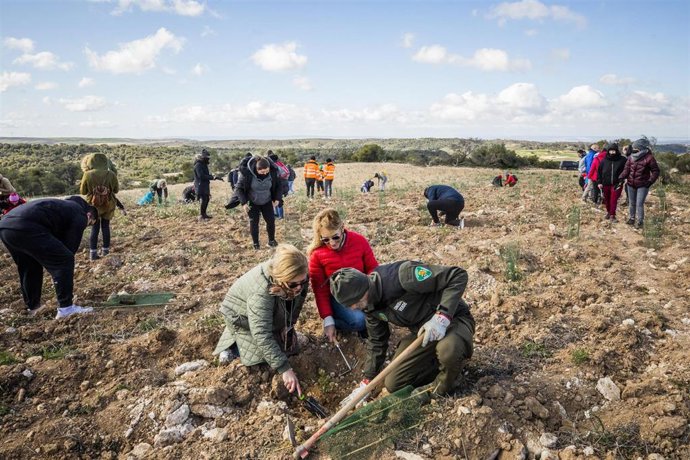 Fundación Ibercaja se suma a El Bosque de los Zaragozanos con la reforestación de 8 hectáreas de monte en Peñaflor.