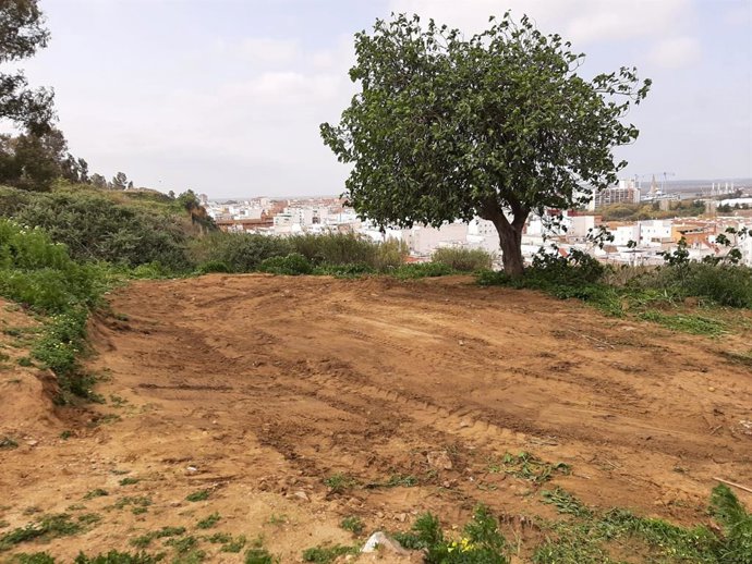 Ayuntamiento procede a saneamiento de un segundo asentamiento ilegal en el Conquero, tras su desmantelamiento