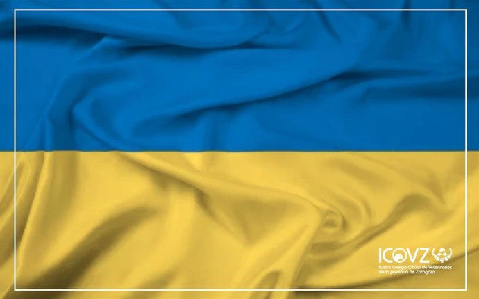 Los Colegios de Veterinarios de Aragón facilitan la atención sanitaria de las mascotas de los refugiados ucranianos.