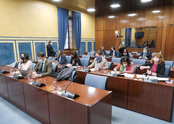 Archivo - Diputados de la comisión de investigación sobre la Fundación Andaluza Fondo de Formación y Empleo (Faffe) (Foto de archivo).