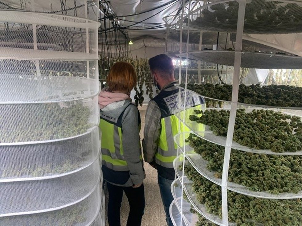 Laboratorio de marihuana 'indoor' en un chalé de Torrent (Valencia)
