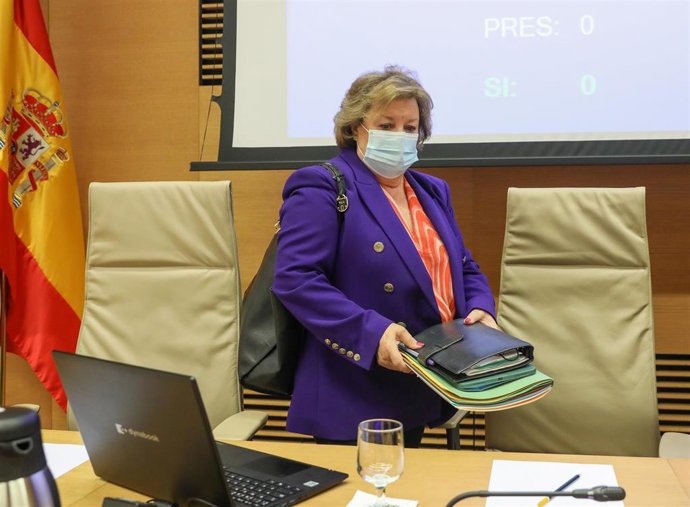 La presidenta del Tribunal de Cuentas, Enriqueta Chicano, a su llegada a la Comisión Mixta para las Relaciones con el Tribunal de Cuentas, en el Congreso