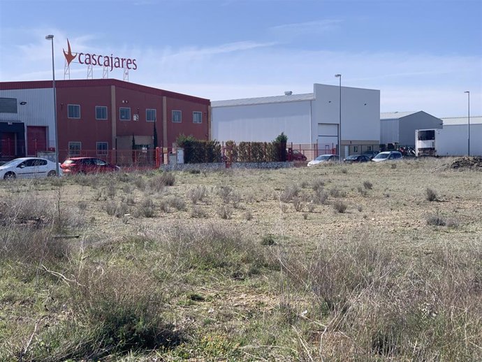 Polígono de Dueñas.