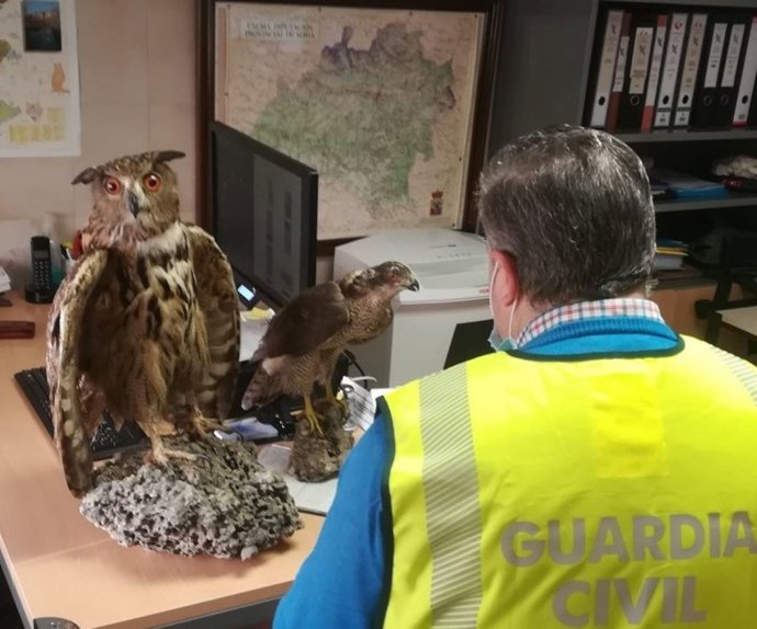 Ejemplares intervenidos en un establecimiento de Soria.