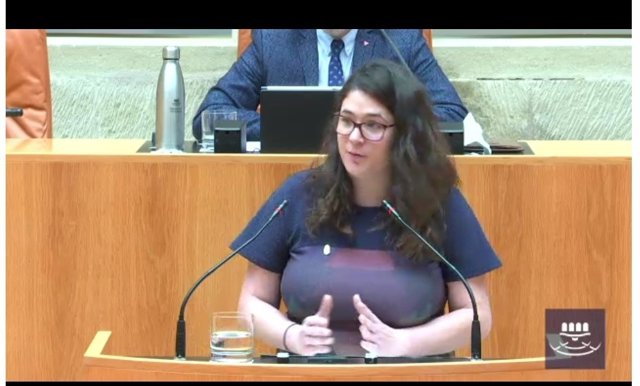 Archivo - La consejera de Participación, Cooperación y Derechos Humanos, Raquel Romero, en su intervención en el Parrlamento