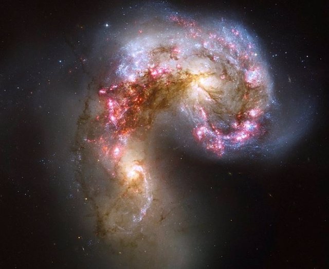 Las Galaxias Antena son un ejemplo de una galaxia con estallido estelar que se produce a partir de la colisión de NGC 4038/NGC 4039