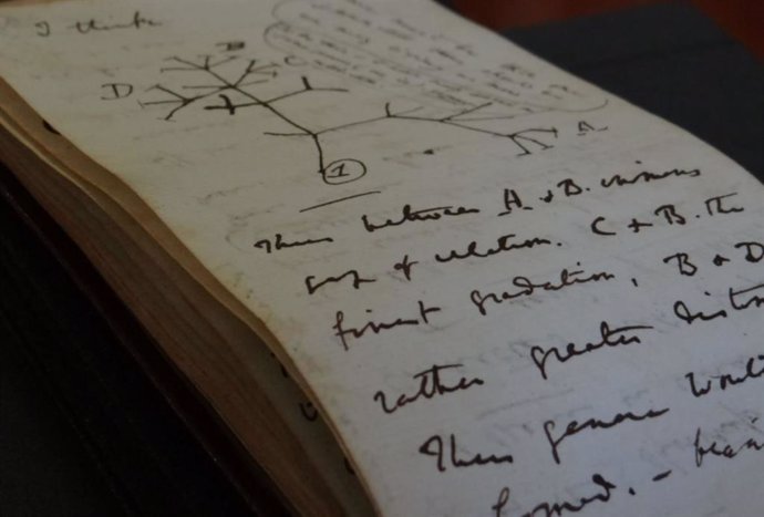 Una página del cuaderno de Darwin de 1837 que muestra el boceto del Árbol de la vida.