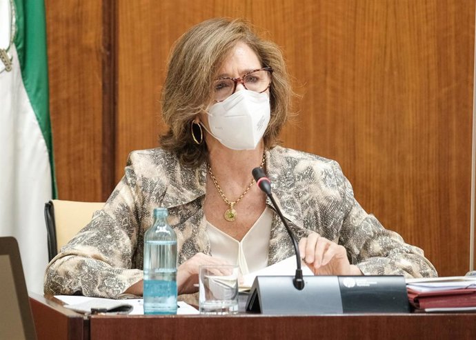 Archivo - La presidenta de la Cámara de Cuentas en Andalucía, Carmen Núñez, en comisión parlamentaria.