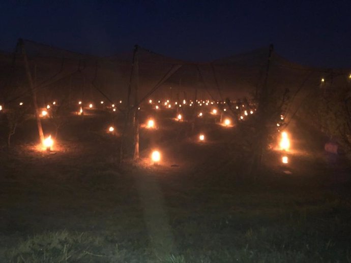 Botes de parafina quemándose en la madrugada del domingo en campos de frutales de Lleida para reducir los daños de la helada.