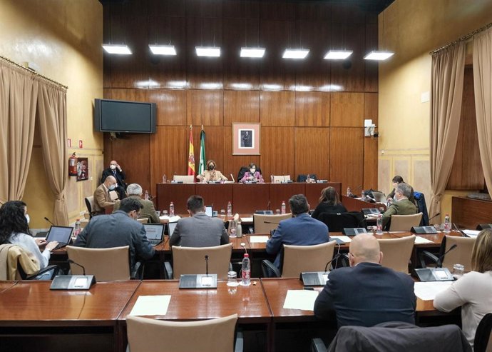 Comparecencia en el Parlamento de la presidenta de la Cámara de Cuentas de Andalucía, Carmen Núñez.