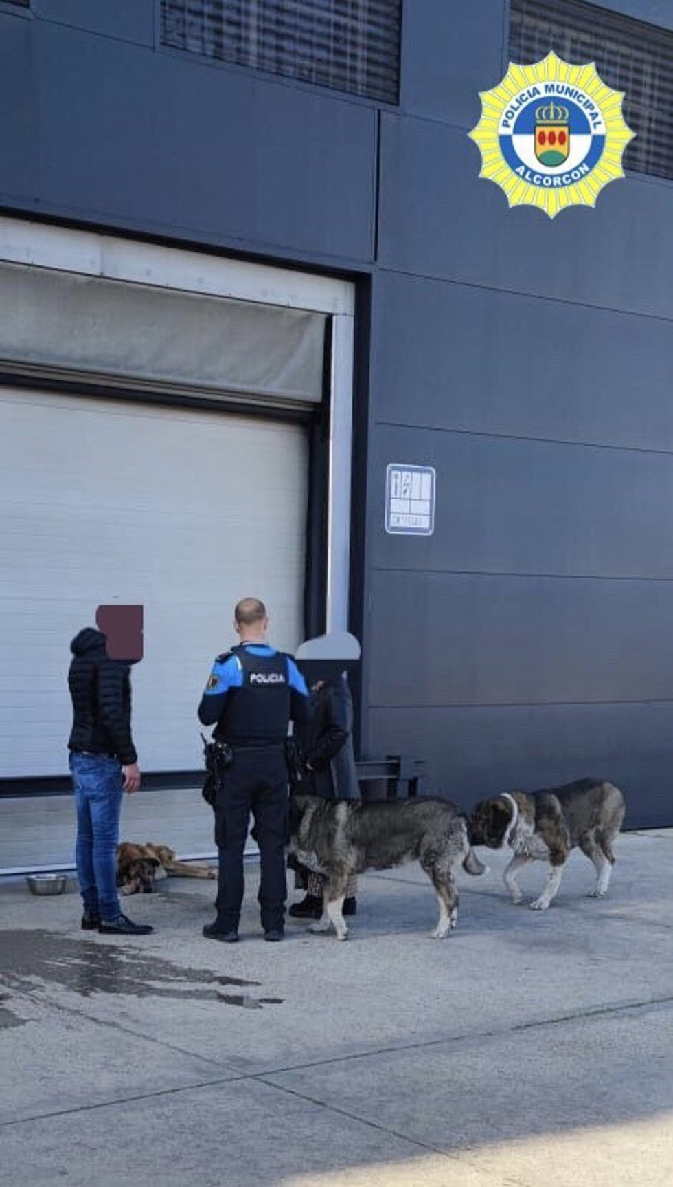 Rescate de un perro en una nave de Alcorcón