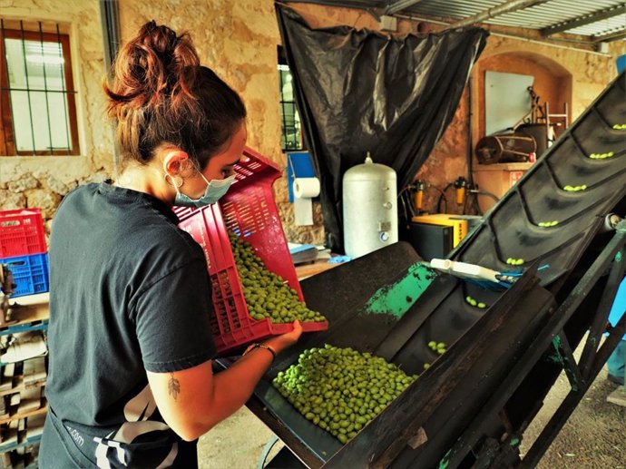 Archivo - Trabajadora del sector primario.