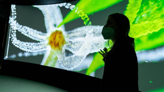 Archivo - CosmoCaixa de Barcelona dedica un espacio permanente al mundo microscópico Micrrium