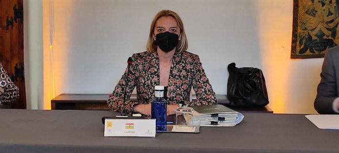 La consejera de Salud, María Somalo, participa en el Consejo Interterritorial de Salud en Toledo