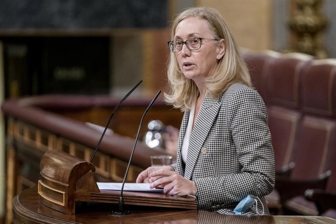 Archivo - La diputada del PP, María Teresa Angulo