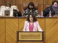 El Parlamento convalida el decreto para mejorar la financiación de centros de atención a la Dependencia